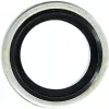Guarnizione KS Tools 970.0760