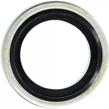 Guarnizione KS Tools 970.0760