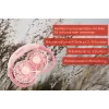 Unold ventilatore da collo Breezy Pink, rosa, 2 ventole, 8 h, ventilatore da collo, bianco, 1 pezzo