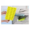 Etichetta adesiva Avery L6006-25 rettangolo arrotondato rimovibile giallo