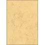 Carta patinata Sigel DP262 100 fogli beige 90 g/m²