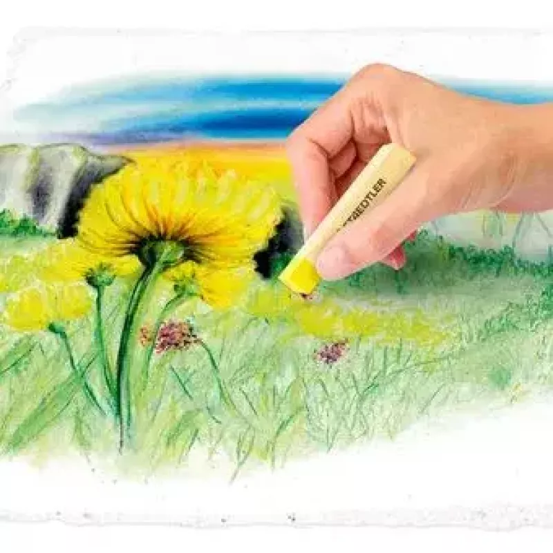 Gessetti pastello secchi morbidi Staedtler 2430 multicolore 24 pezzi