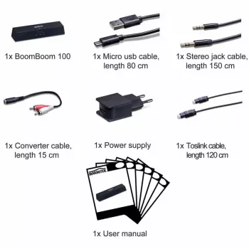 Altoparlante Marmitek BoomBoom 100, 100W