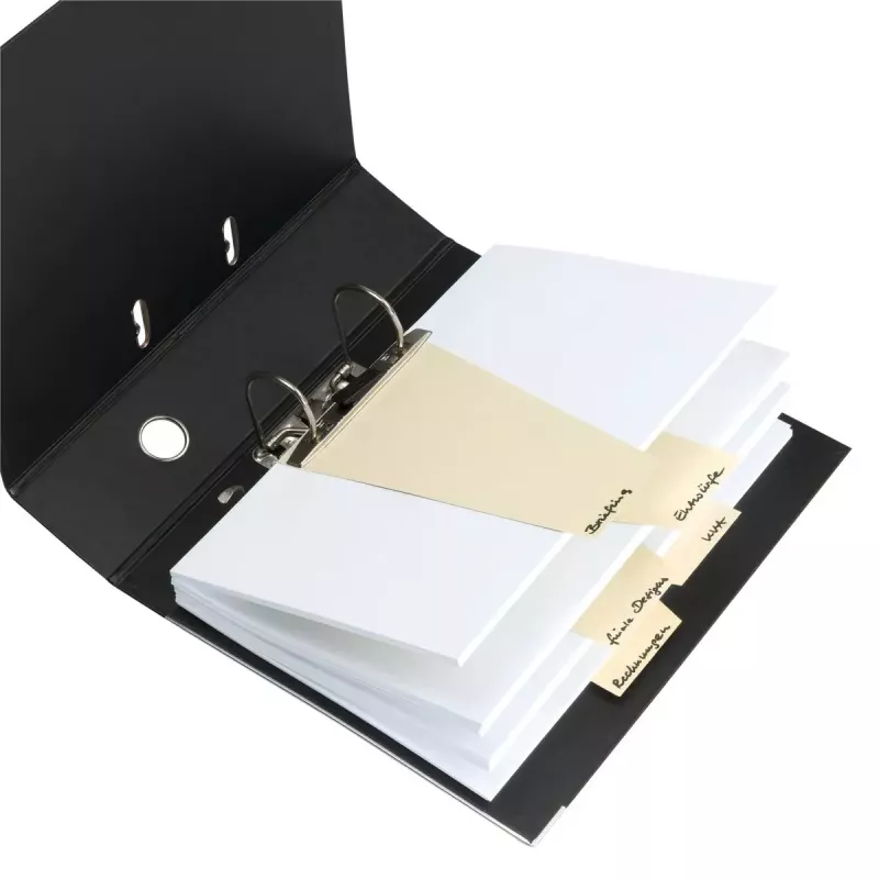 Separatore Herlitz 10838225 cartoncino verde 100 pezzi