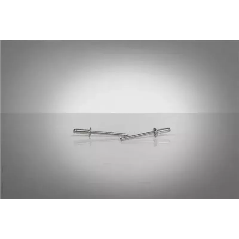 GESIPA 6300162 rivetto cieco, alluminio/acciaio, 3 x 10 mm, campo di serraggio 5–7 mm, testa piana tonda