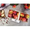 Bilancia da cucina elettronica Soehnle Page Compact 300