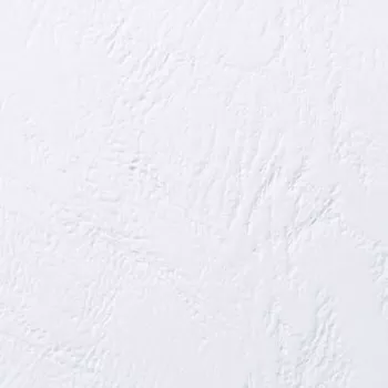 GBC Copertina rilegatura A5 texture pelle 250 g/m², A5, cartoncino, bianco, 100 pezzi