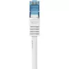 Cavo di rete Renkforce RF-3829272 20m Cat6a S/FTP
