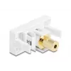 DeLOCK modulo Easy 45 jack da 3,5 mm a 4 poli femmina-femmina, placcato oro, bianco (90841)