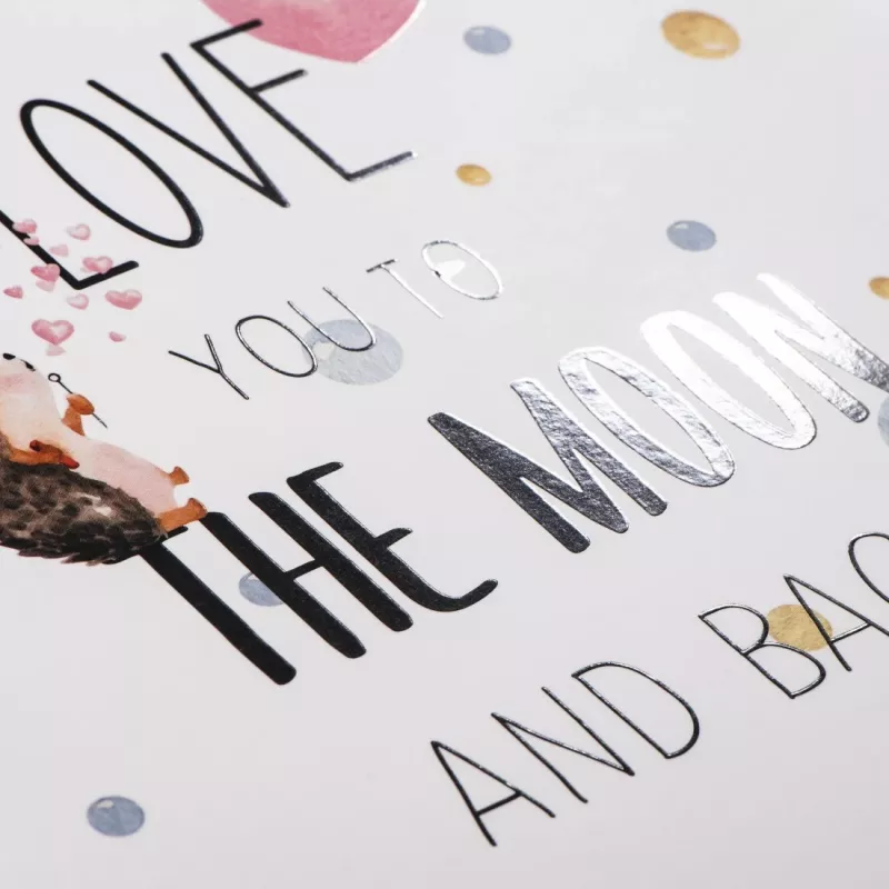 Diario per neonati Hama To The Moon multicolore 220x290 mm