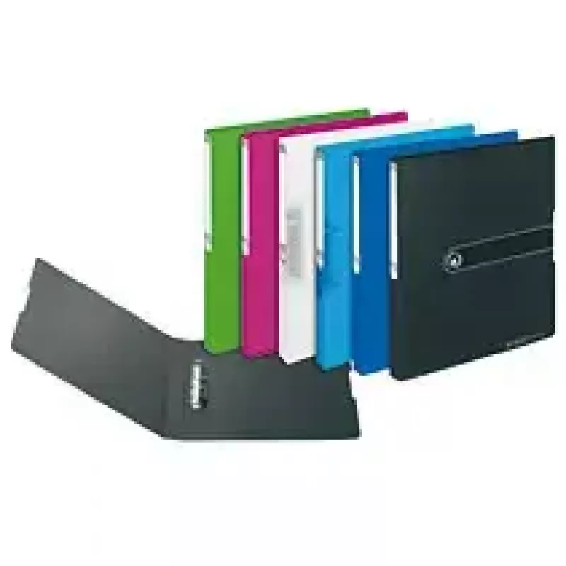 Raccoglitore ad anelli Herlitz 11226370 A4 verde