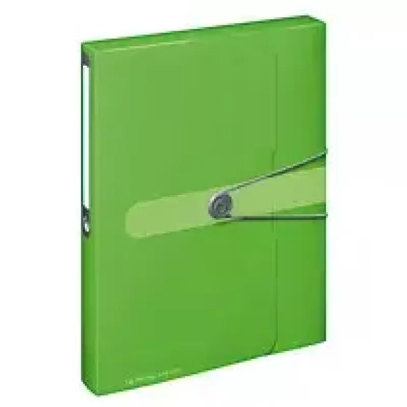 Cartellina Herlitz 11206133 polipropilene (PP) verde A4