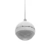 Diffusore a 2 vie Omnitronic 80710429