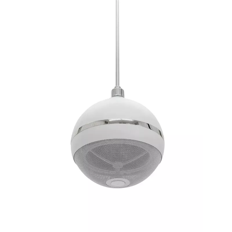 Diffusore a 2 vie Omnitronic 80710429