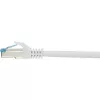 Cavo di rete Renkforce RF-4145283 1m Cat6a S/FTP