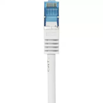 Cavo di rete Renkforce RF-4145286 3m Cat6a S/FTP