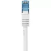 Renkforce Cavo di rete Cat6a S/FTP 1381764, 10 m, grigio
