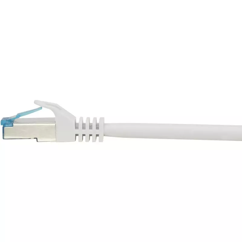 Renkforce Cavo di rete Cat6a S/FTP 1381764, 10 m, grigio