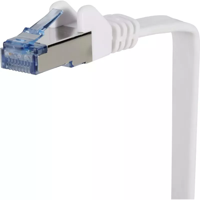 Cavo di rete Renkforce RF-4149840 Cat6a U/FTP 1m grigio