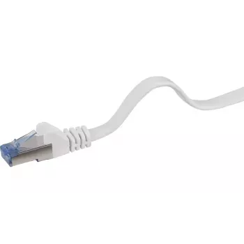 Cavo di rete Renkforce RF-4149840 Cat6a U/FTP 1m grigio