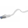 Cavo di rete Renkforce RF-4149846 Cat6a U/FTP 5m grigio