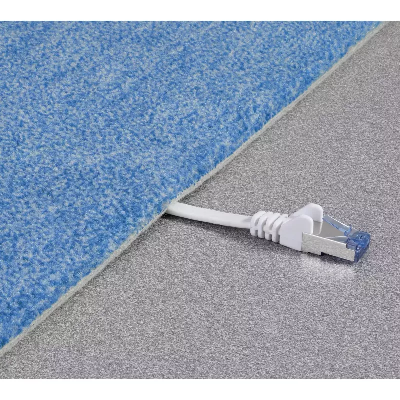 Cavo di rete Renkforce RF-4149849 10m Cat6a U/FTP