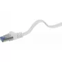 Cavo di rete Renkforce RF-4149849 10m Cat6a U/FTP