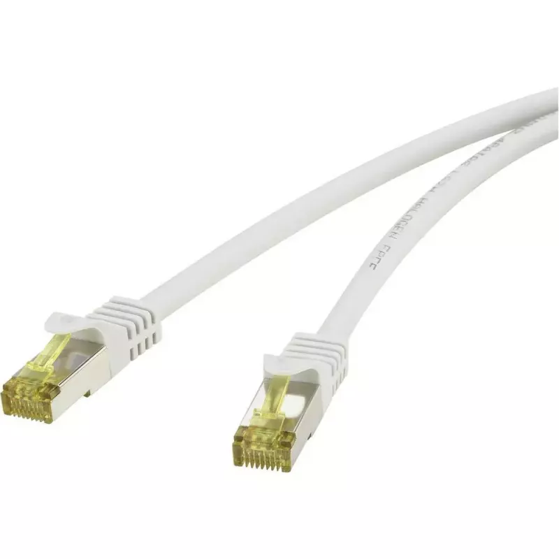 Cavo di rete Renkforce RF-4149864 Cat6a 1m grigio