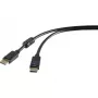 Cavo DisplayPort Renkforce RF-4212204 3 m nero