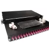 Pannello in fibra ACT Fiber 24 x Duplex-LC multimodale OM4