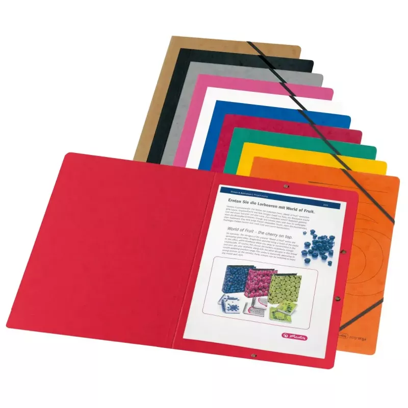 Cartella raccoglitore in cartone colori assortiti A4 Herlitz 11166816