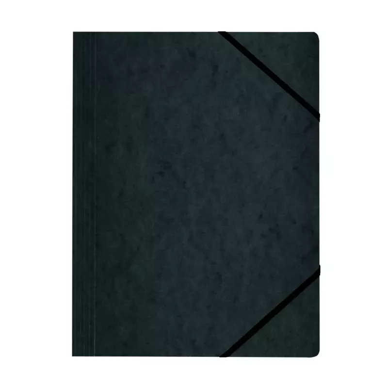 Cartella raccoglitore in cartone colori assortiti A4 Herlitz 11166816