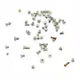 CoreParts MSPP73437 ricambio per cellulare set di viti argento