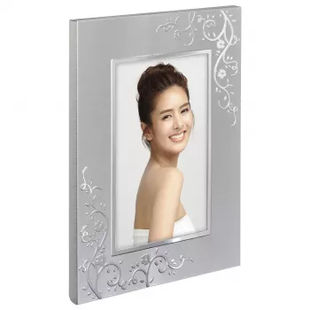 Hama 00193123 cornice singola argento