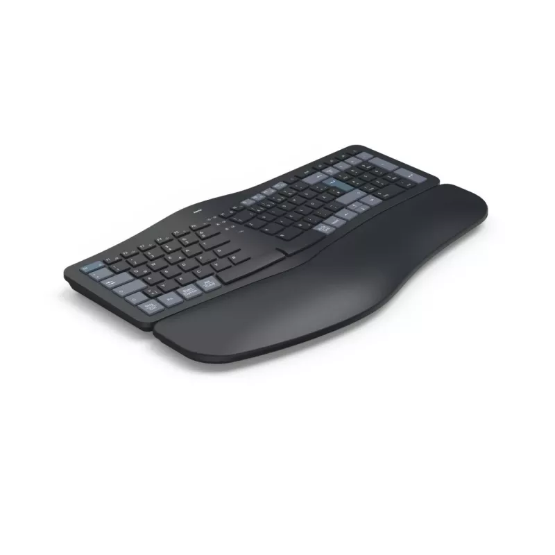 Hama WK-900 Ergo tastiera wireless multi-dispositivo divisa, LED, QWERTZ, nera
