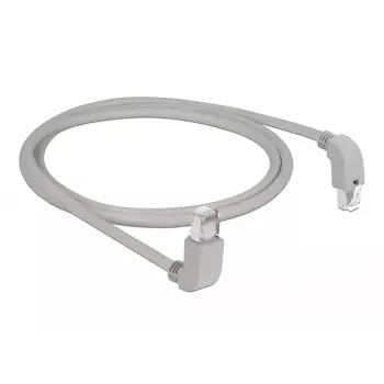 Cavo di rete DeLOCK 85862 Cat6 S/FTP 1 m grigio