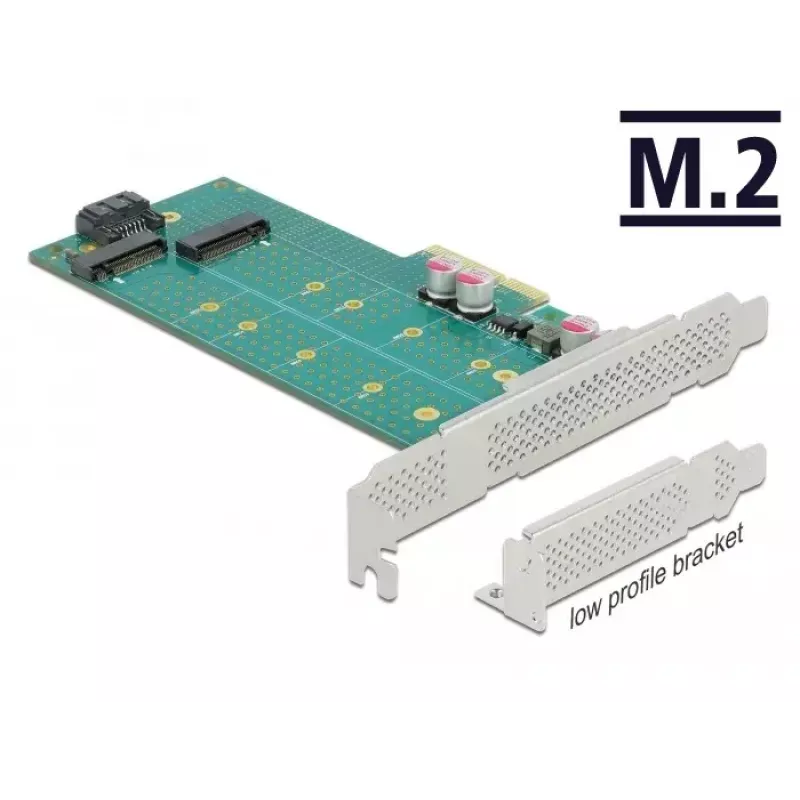 Scheda di espansione DeLOCK PCI Express x4 a M.2 Key B + M - Low-Profile