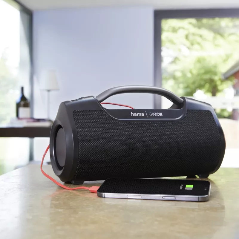 Hama Mate Pro altoparlante stereo portatile nero 60 W