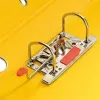 Raccoglitore ad anelli Herlitz 10834778 A4 giallo
