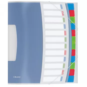 Segnapagine Esselte Divider Book Vivida PP 12 linguette, blu, multicolore, cloruro di polivinile (PVC), A4, 266 mm, 20 mm, 320 mm
