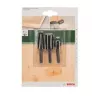 Bosch 2609255302 raspa