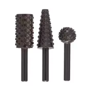 Bosch 2609255302 raspa