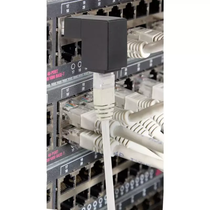 Adattatore per cavo Renkforce RF-4087416