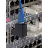 Adattatore Renkforce RF-4087413