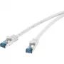 Cavo di rete Renkforce RF-4145280 0,5 m Cat6a S/FTP