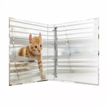 Raccoglitore ad anelli HERMA 19359 A4 multicolore