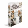Raccoglitore ad anelli HERMA 19359 A4 multicolore