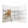 Raccoglitore ad anelli HERMA 19428 A4 multicolore