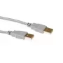 USB 2.0 A connettore maschio - USB A connettore maschio avorio 3,00 m ACT SB2503