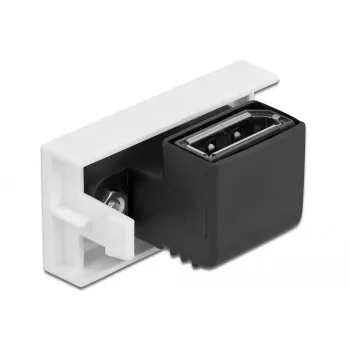 Modulo DisplayPort DeLOCK Easy 45 81306